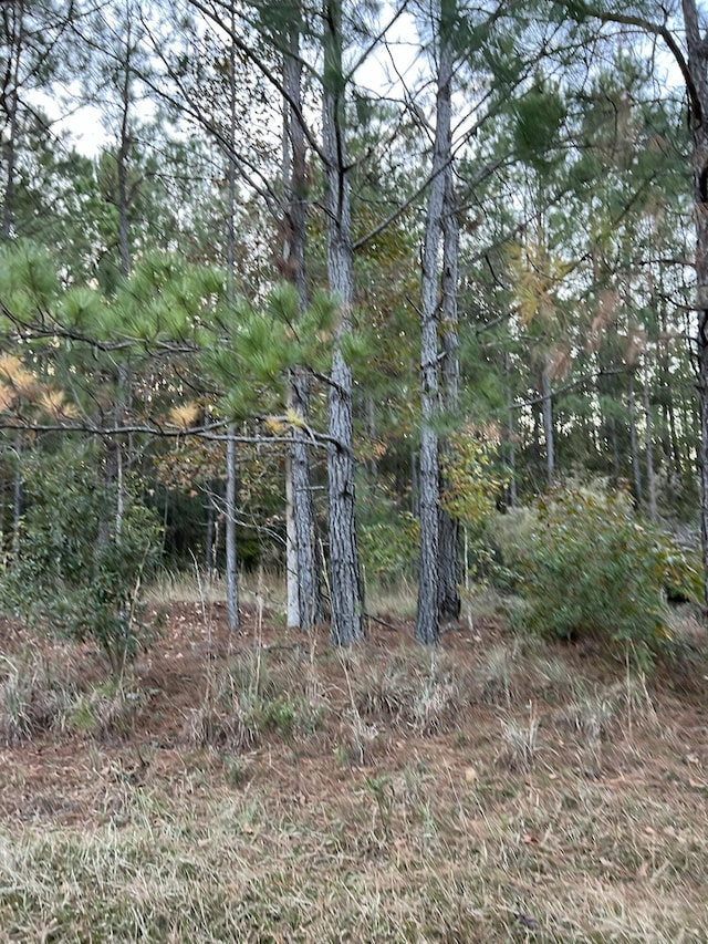 Listing photo 2 for 0 Smoak Rd, Walterboro SC 29488