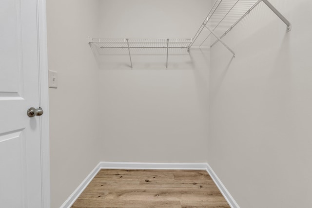 walk in closet with wood-type flooring