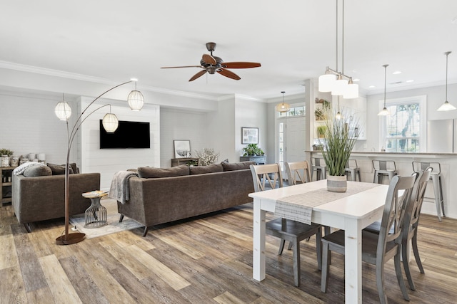 dining area with wood-type flooring, ornamental molding, and ceiling fan