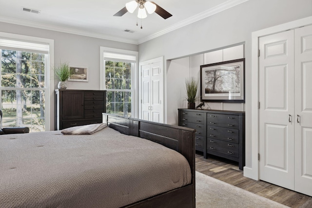 bedroom featuring ceiling fan, multiple closets, hardwood / wood-style floors, and multiple windows