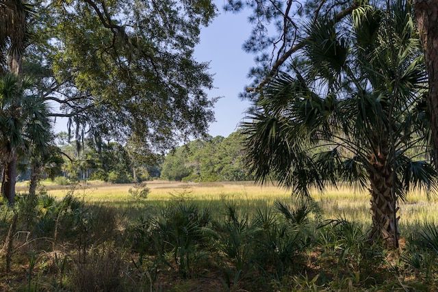 view of landscape