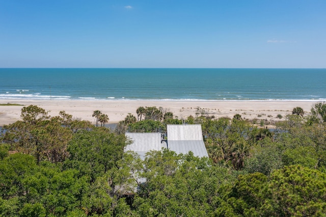 property view of water featuring a view of the beach