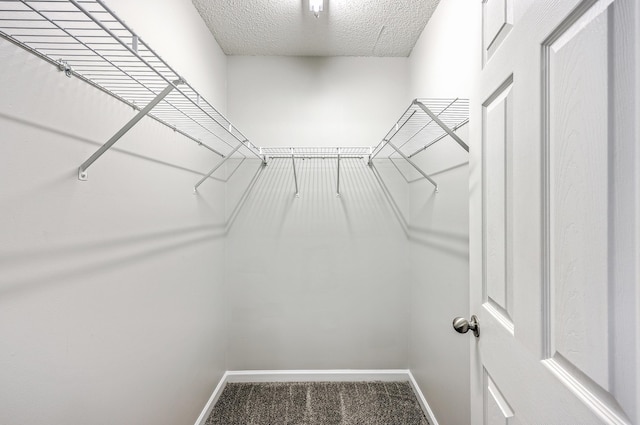 8028 Vermont Rd, North Charleston, SC 29418 - spacious closet featuring carpet floors