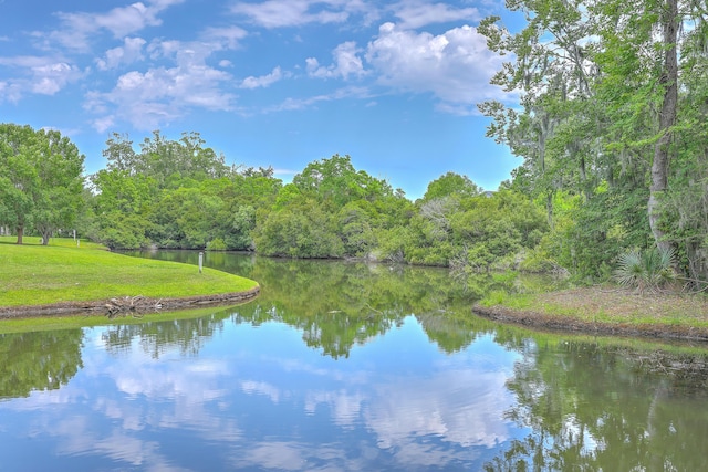 8028 Vermont Rd, North Charleston, SC 29418 - water view
