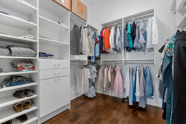 spacious closet with dark hardwood / wood-style floors