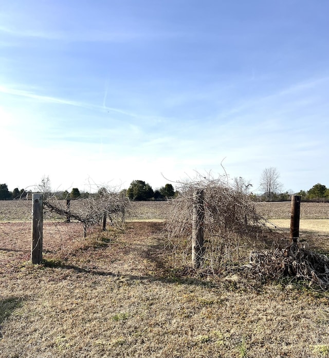 view of local wilderness featuring a rural view