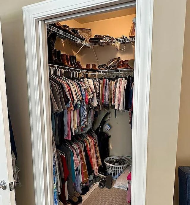 view of spacious closet