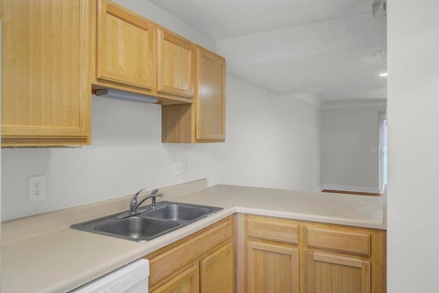 kitchen featuring light countertops, a sink, dishwasher, and light brown cabinetry