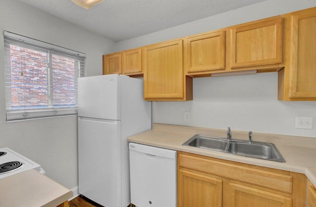 kitchen with white appliances, light countertops, a sink, and a textured ceiling