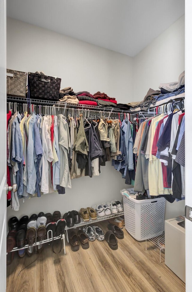 spacious closet featuring wood-type flooring