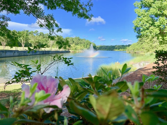 view of water feature