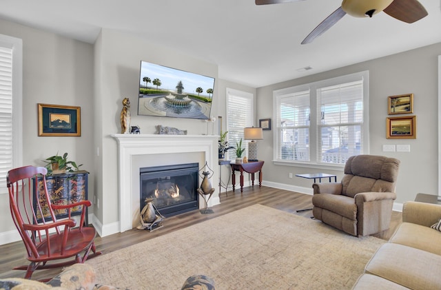 living room with ceiling fan and hardwood / wood-style floors