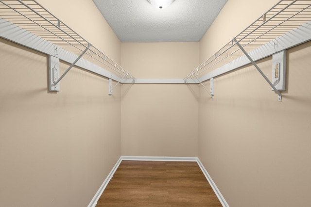 spacious closet featuring wood finished floors