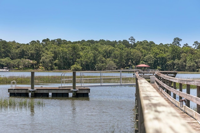 dock area featuring a water view