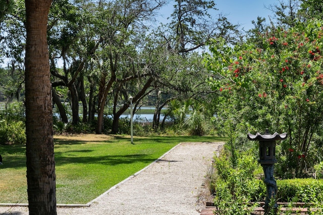 view of nearby features featuring a yard