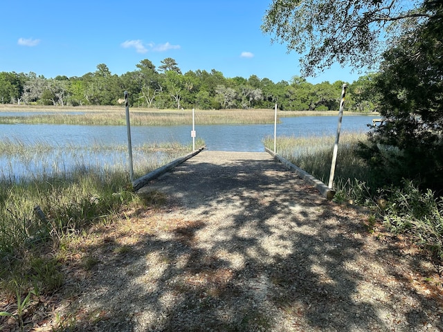 water view with a dock