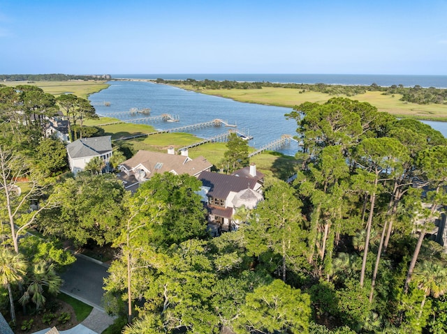 3121 Marshgate Dr, Seabrook Island, SC 29455 - aerial view of a large body of water and a tree filled landscape