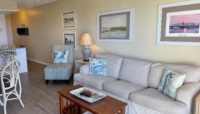 living room featuring hardwood / wood-style flooring