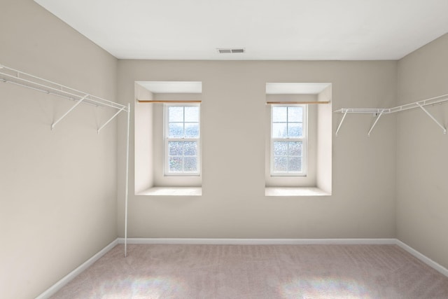 walk in closet featuring carpet floors