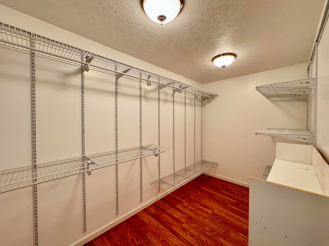 walk in closet featuring hardwood / wood-style flooring