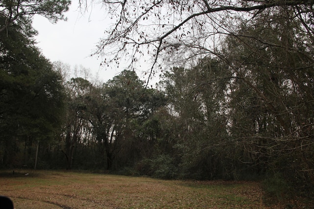 0 Lieben Rd, Mount Pleasant SC, 29466 land for sale