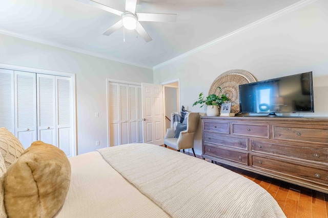bedroom with two closets, ornamental molding, dark wood-type flooring, and a ceiling fan