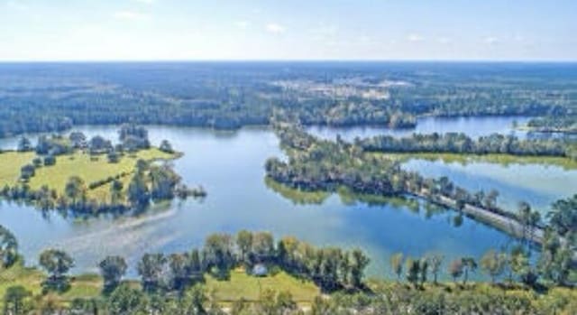 774 Clay Field Trl, Summerville, SC 29485 - aerial view of a nearby body of water