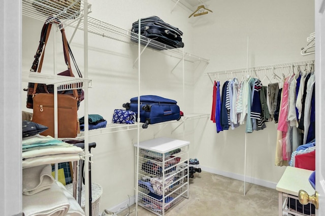 view of walk in closet