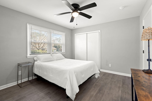 bedroom featuring ceiling fan, dark wood-type flooring, and a closet