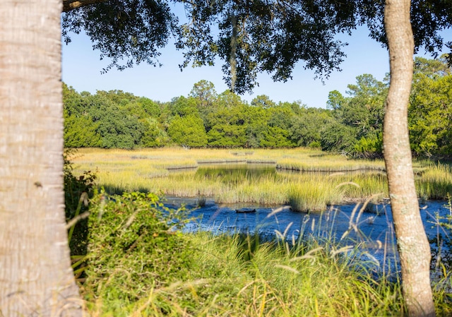 view of water feature