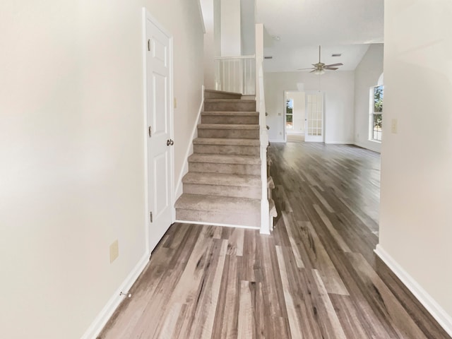 stairway featuring wood-type flooring and ceiling fan