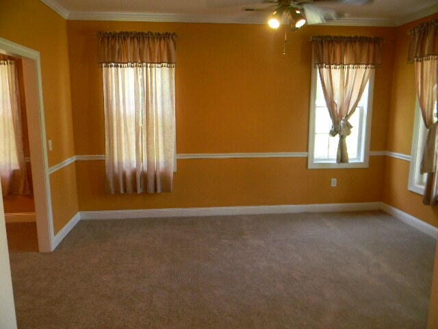 carpeted spare room featuring ceiling fan and ornamental molding