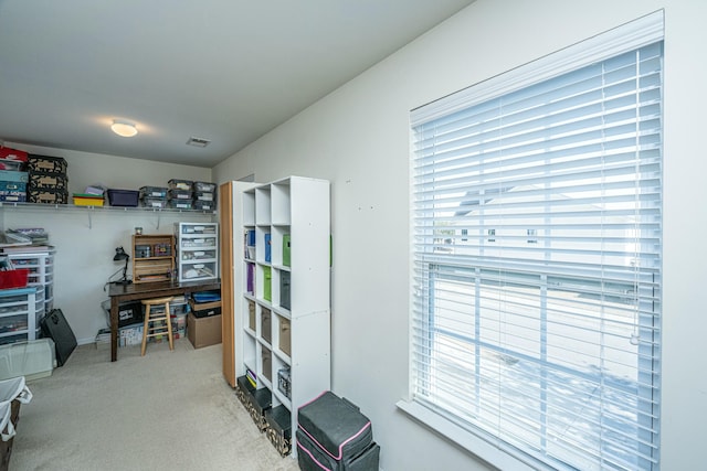 office with a wealth of natural light and carpet flooring