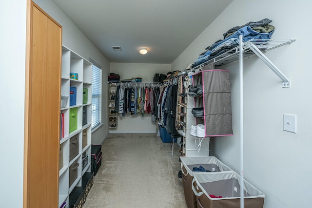 walk in closet with carpet flooring