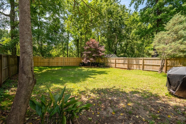 1813 Parkland Preserve Ln, Charleston, SC 29412 - view of yard