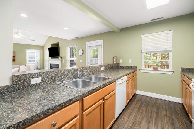 1813 Parkland Preserve Ln, Charleston, SC 29412 - kitchen featuring a sink, dishwasher, a fireplace, healthy amount of natural light, and recessed lighting