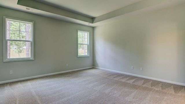 unfurnished room featuring light carpet and a raised ceiling