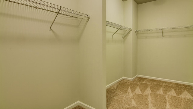 spacious closet with carpet flooring