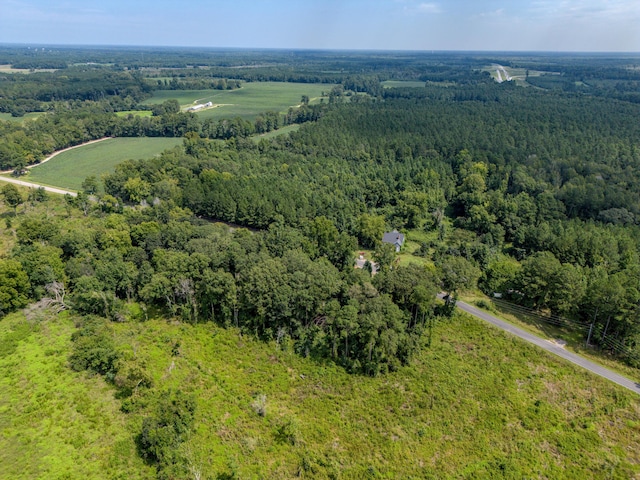 bird's eye view with a forest view