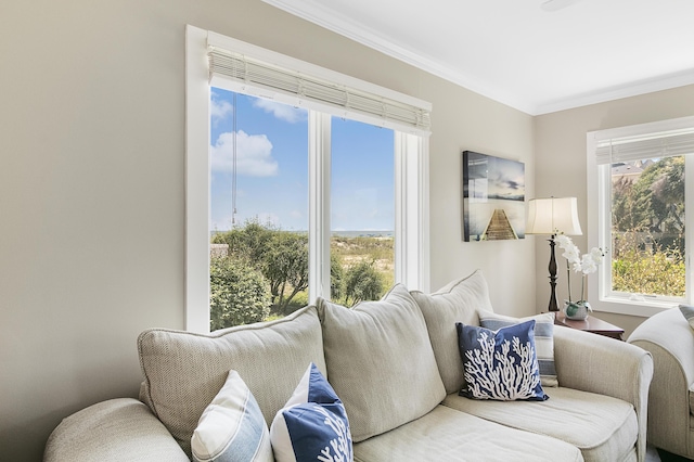 living room featuring ornamental molding