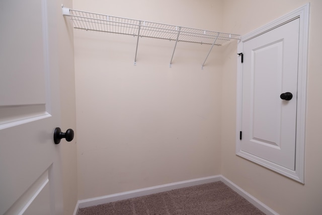 spacious closet with carpet floors