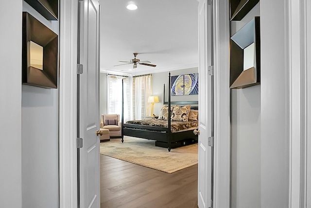 bedroom featuring dark hardwood / wood-style flooring and ceiling fan