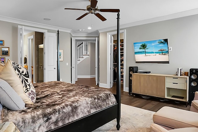 bedroom with a walk in closet, ceiling fan, ornamental molding, dark hardwood / wood-style flooring, and a closet