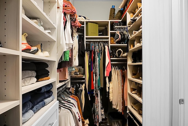 view of walk in closet