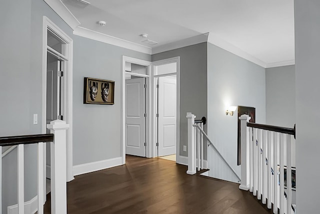 hallway featuring crown molding and dark hardwood / wood-style flooring