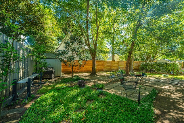 view of yard with a patio