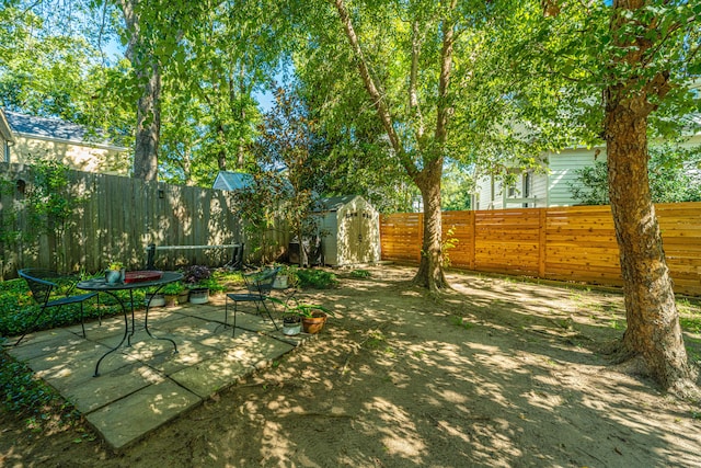 view of yard featuring a storage shed and a patio area