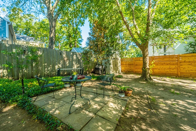 view of yard featuring a patio