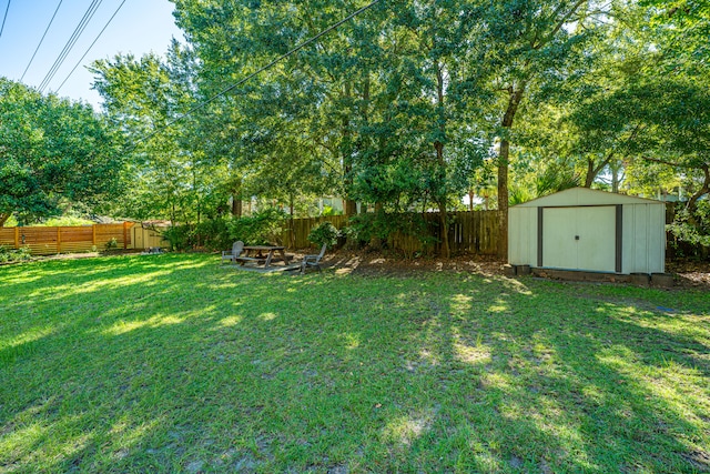 view of yard with a storage shed