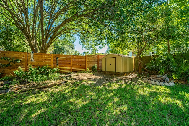 view of yard featuring a storage shed